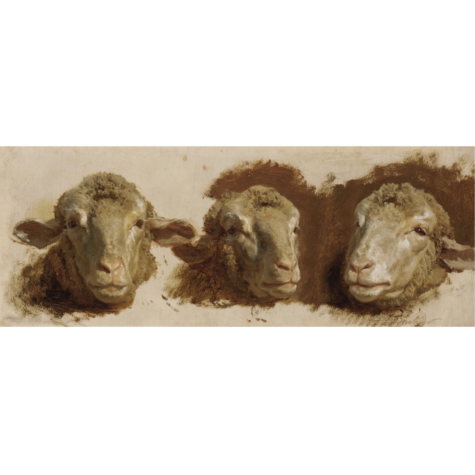 Auguste Bonheur - Study Of Three Sheep Heads