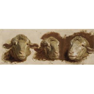 Auguste Bonheur - Study Of Three Sheep Heads