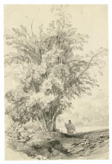 Auguste Borget - A Goat And A Chinese Figure By A Stand Of Bamboo