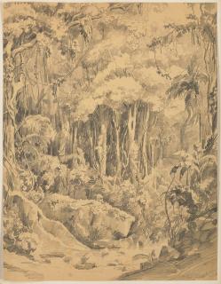 Auguste Borget - Quatre études : trois vues d\'Argentine, entre Cordoue et Mendoza et une étude de femme en costume traditionnel chilien