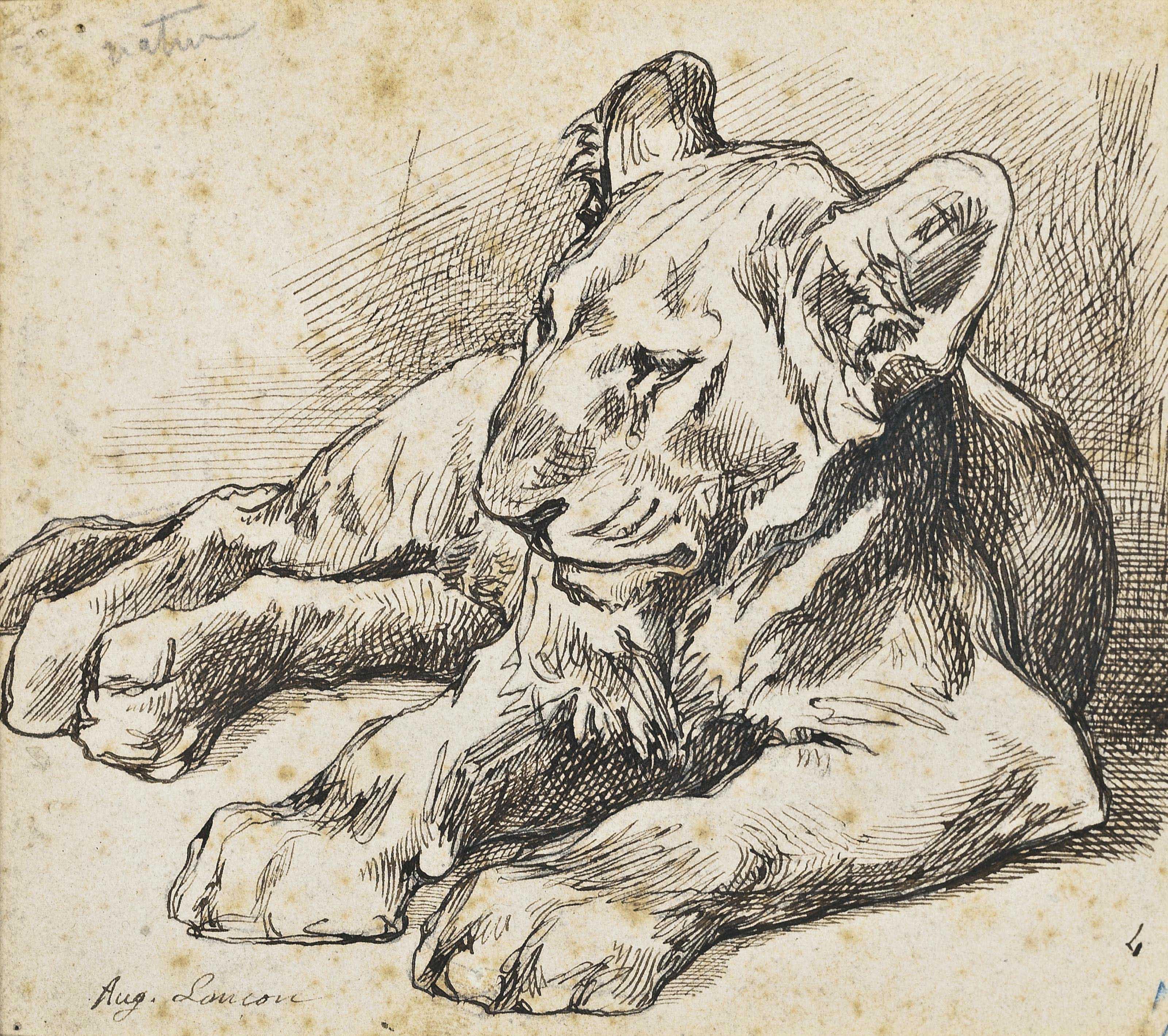 Auguste Lancon - Study of a lion cub