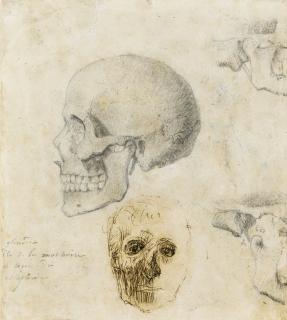 Auguste Rodin - Crâne Humain De Profil Et Visage D\'Écorché De Face. Études D\'Os  - Recto Deux Études D\'Enfants Et De Feuilles - Verso