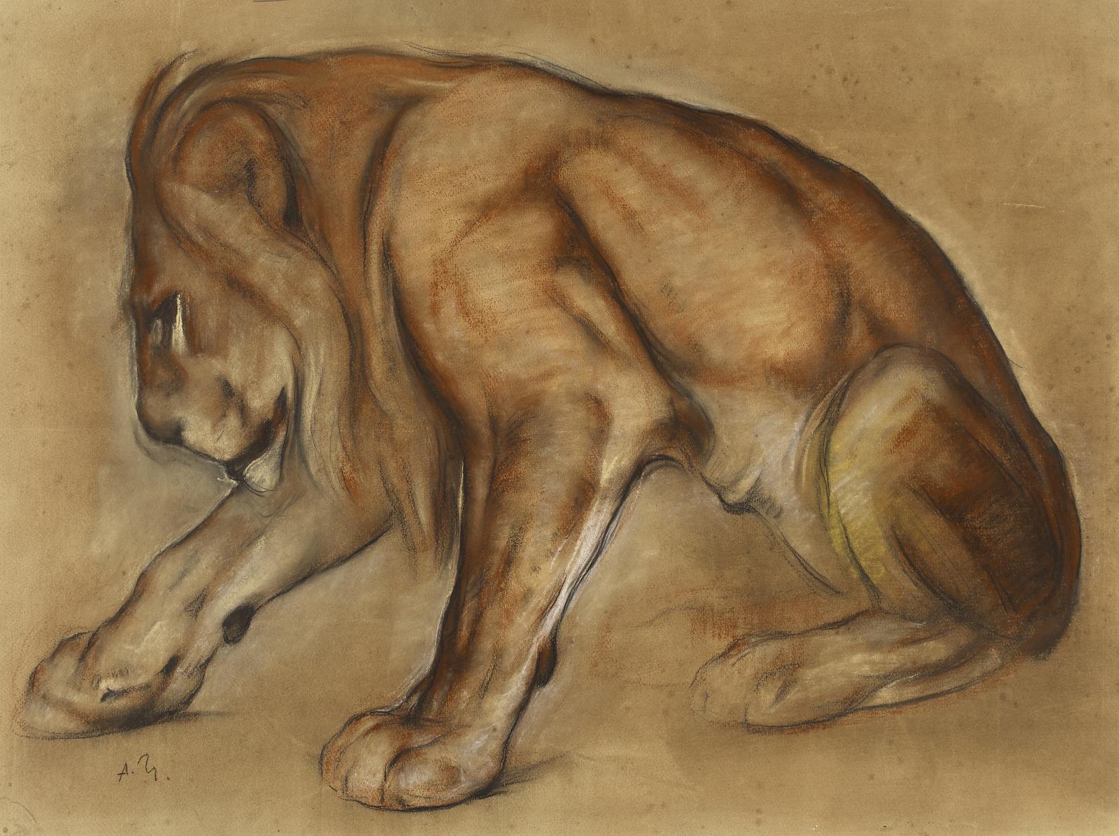 Auguste Trémont - Junger Löwe