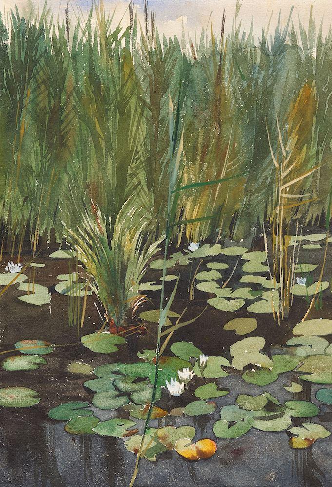 Augusto Giacometti - Seerosen.