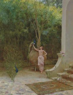 Augusto Lovatti - Who Is The Prettiest?