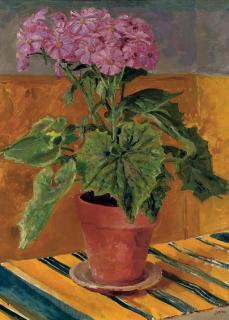 Augustus Edwin John, O.M., R.A. - Cineraria