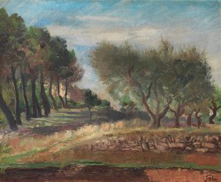 Augustus Edwin John O.M., R.A. - Olive Grove, Provence