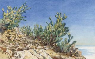 Augustus John Cuthbert Hare - Massa Ducale; and Prickly pears at Taormina (illustrated)