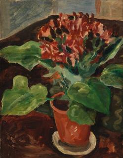 Augustus John O.M., R.A. - A Cineraria in a Pot on a Table