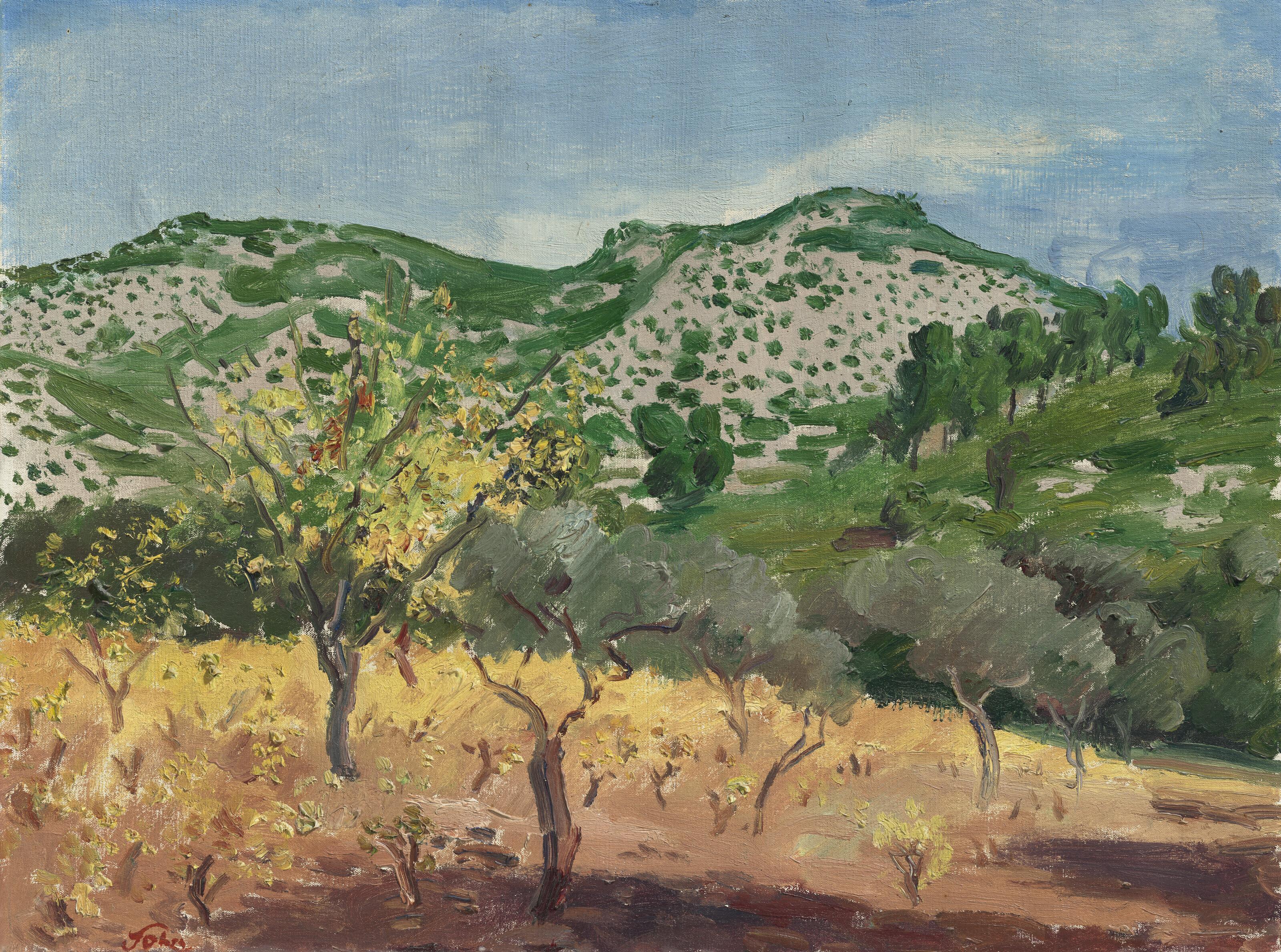 Augustus John, O.M., R.A. - Olive Grove, Provence