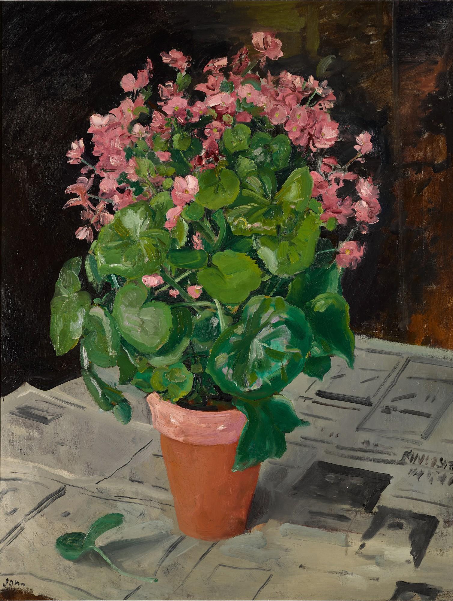 Augustus John, R.A. - Begonia