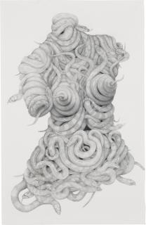 Aurel Schmidt - Medusa