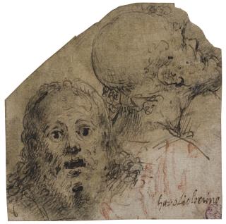 Aurelio Luini - Two Studies Of Heads: One Frontal The Other In Profile