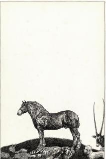 Austin Osman Spare - Menagerie