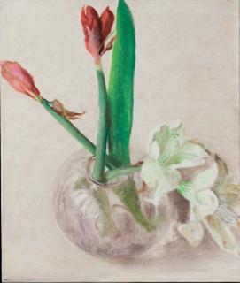 Avigdor Arikha - Amaryllis