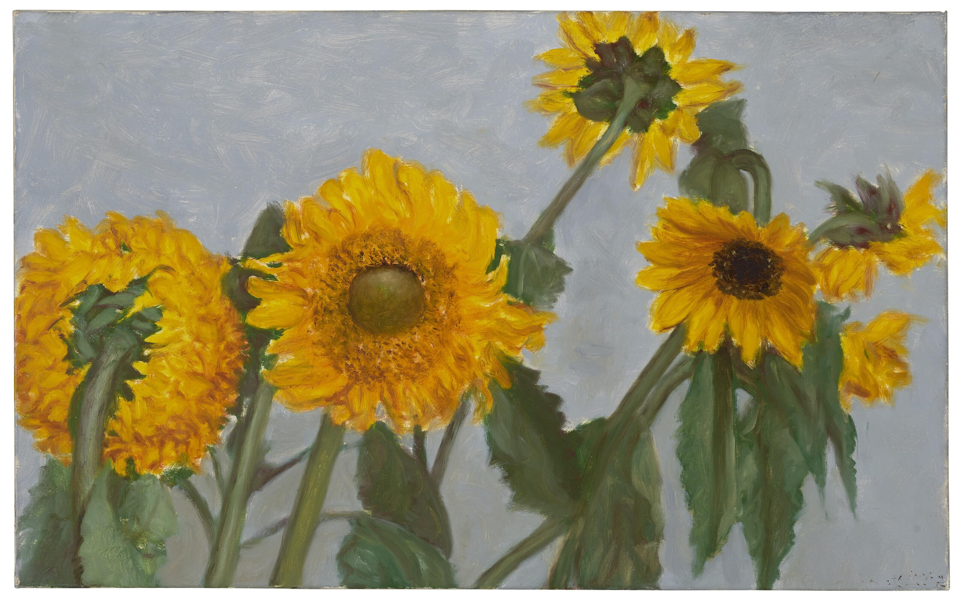 Avigdor Arikha - Sunflowers