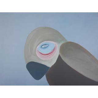 Avner Ben Gal - Parrot, From The Series \