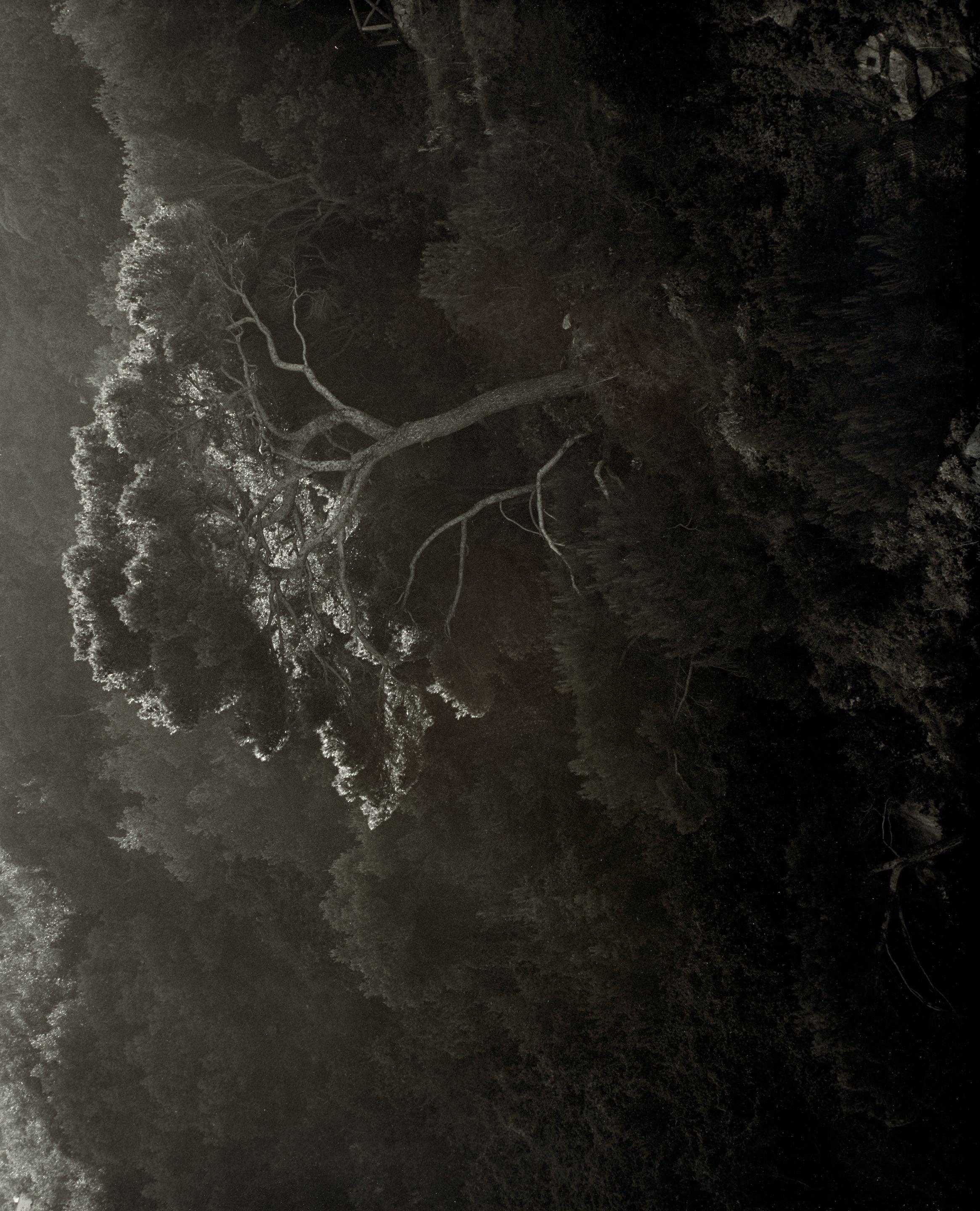 Awoiska van der Molen - 367-7