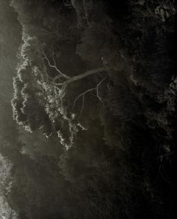 Awoiska van der Molen - 367-7