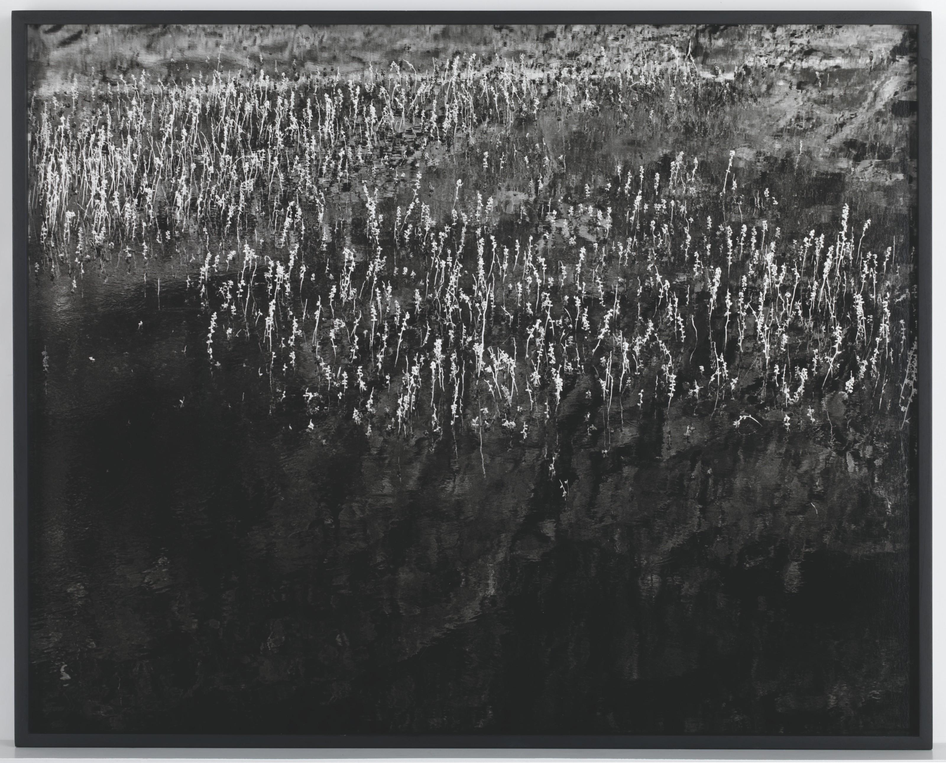 Awoiska Van Der Molen - #381-14, 2015