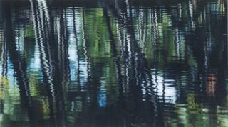 Axel Hütte - Coco Palms, Hawaii