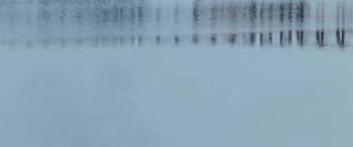 Axel Hütte - Griethausen