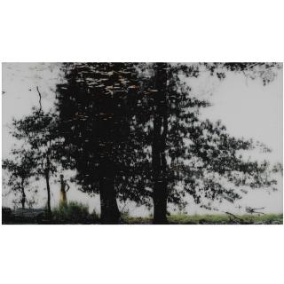 Axel Hütte - Portrait #1, 2001