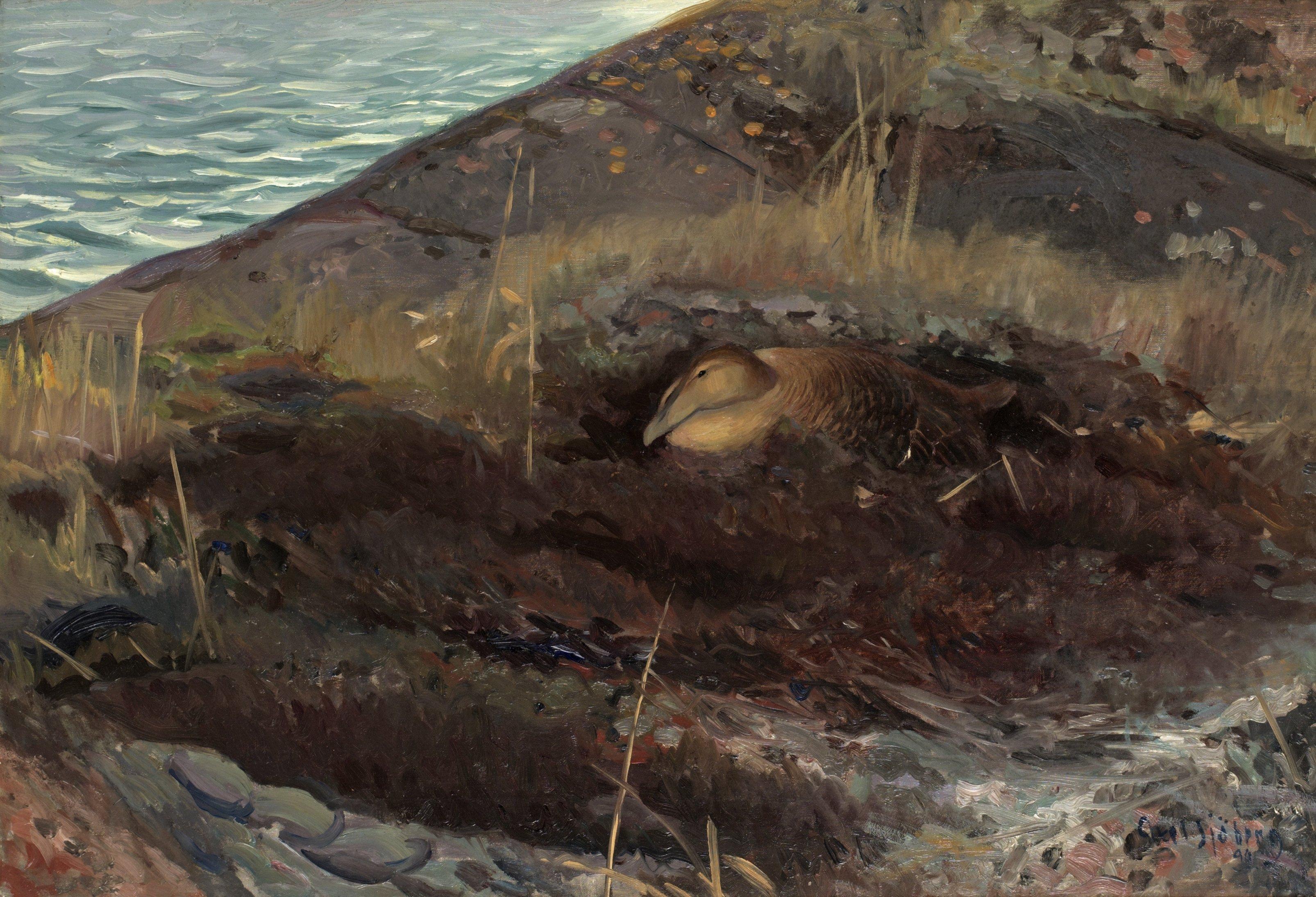 Axel Sjöberg - Ejderhona vid vattenbryn