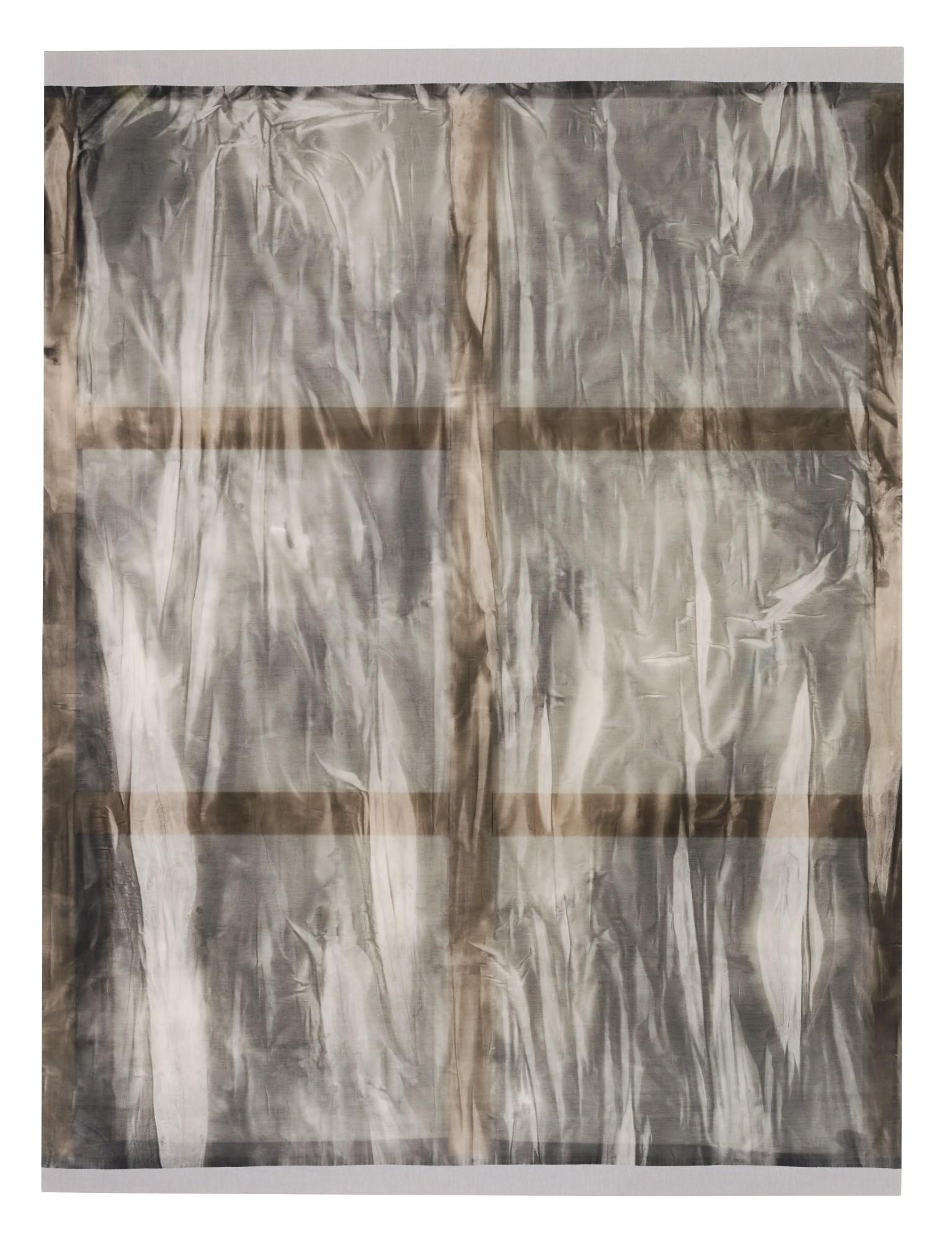 Ayan Farah - Camillia