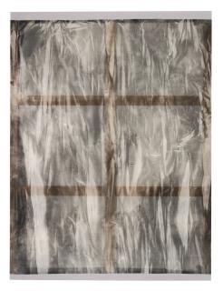 Ayan Farah - Camillia