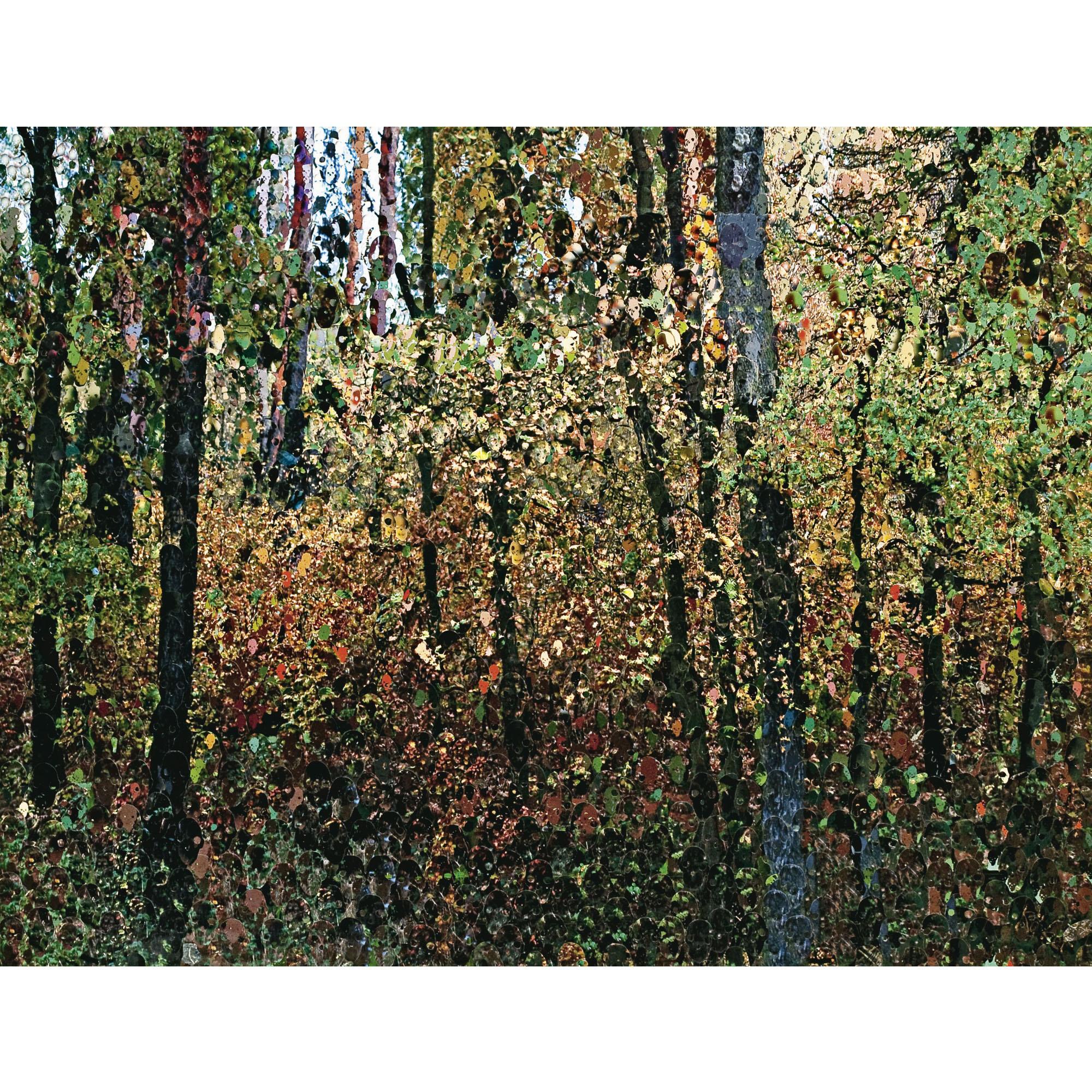 Azade Koker - Kuzey Ormani (The North Woods)