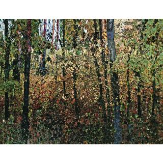 Azade Koker - Kuzey Ormani (The North Woods)