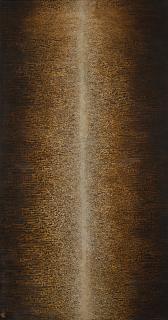 Azra Aghighi Bakhshayeshi - Iranian noor (Light)