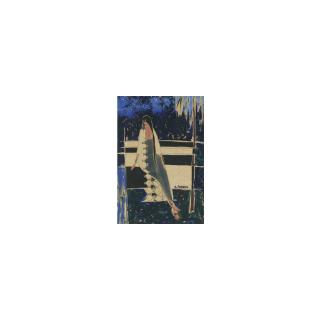 B. Prabha - Kashmir Series