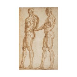 Baccio Bandinelli - Deux études de figures masculines (recto); Etude d\'un taureau (verso)