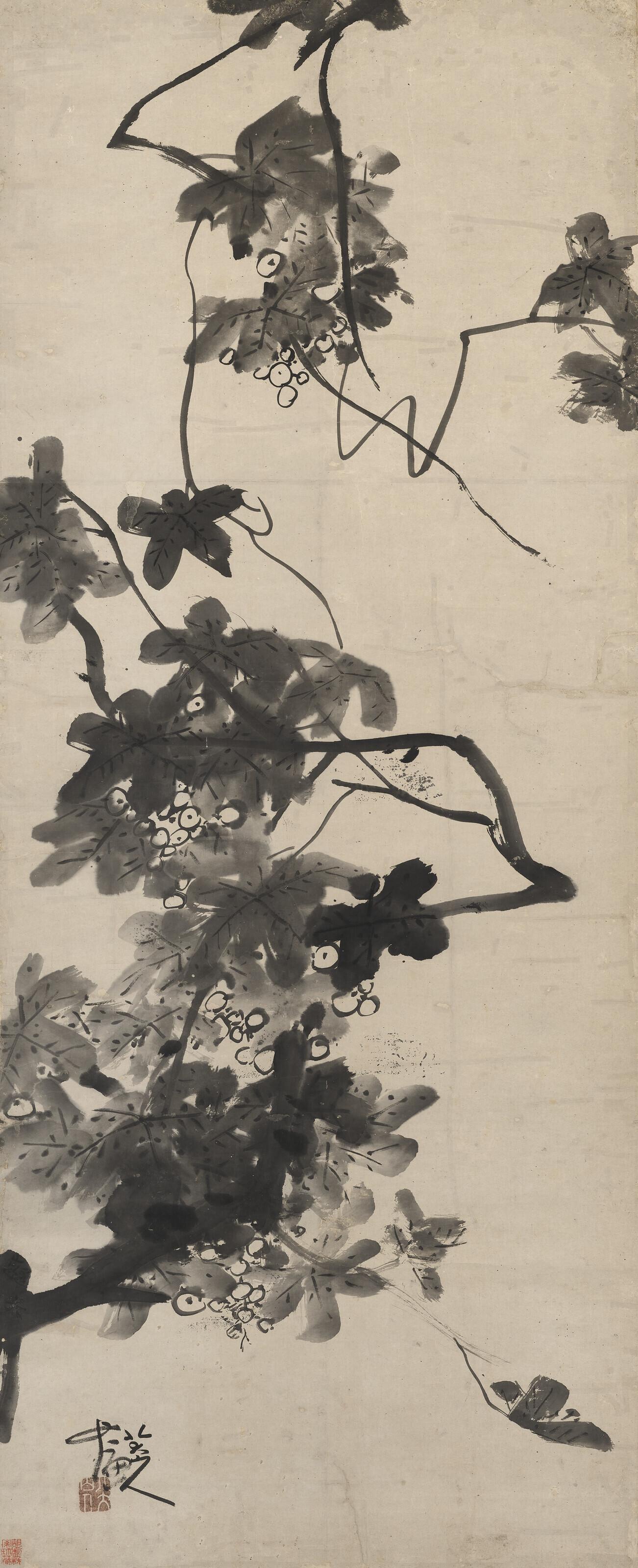 Bada Shanren - Grapevine