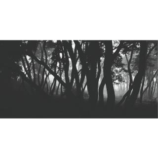 Bae Bien-U - Pine Tree