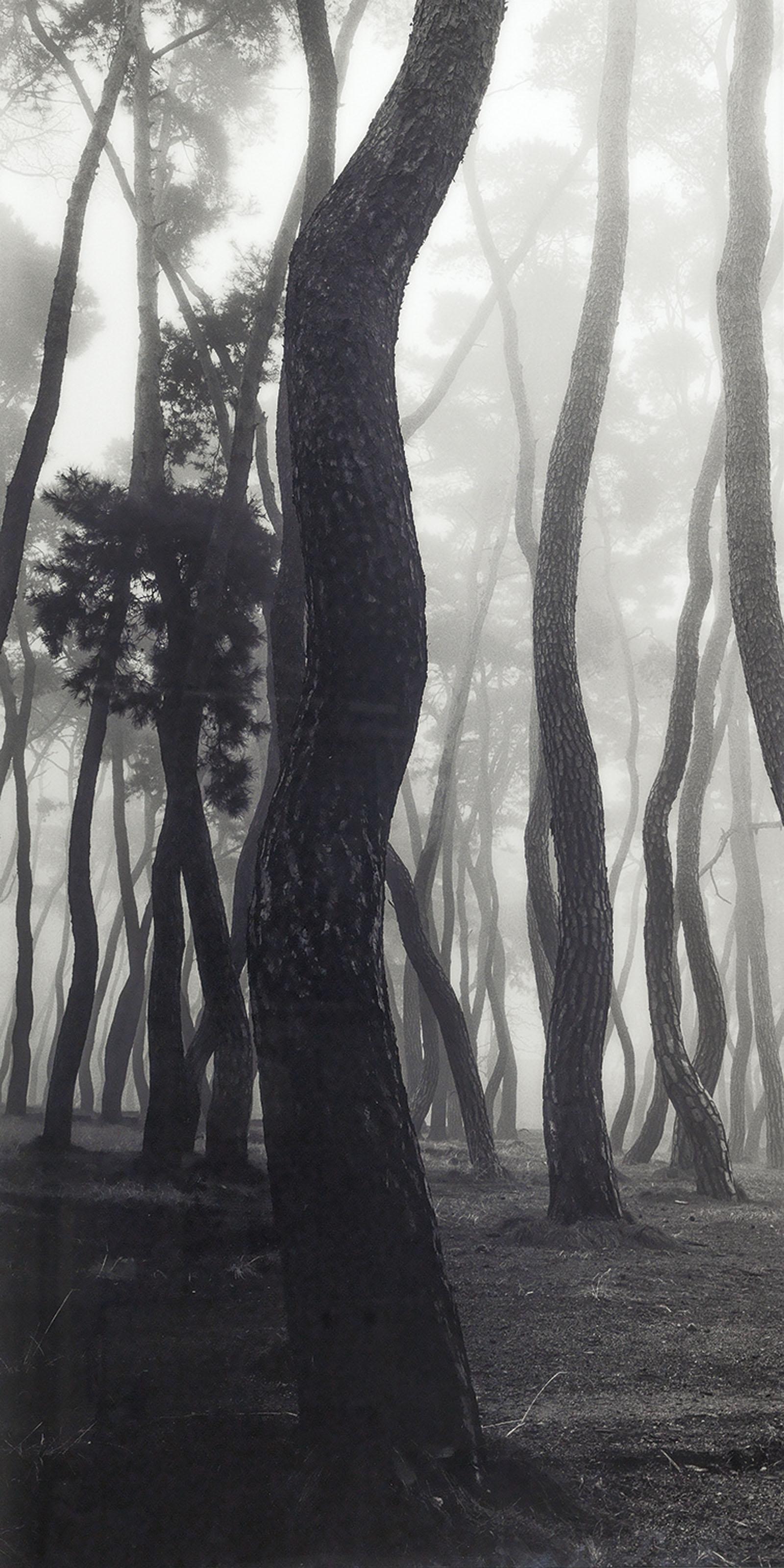 Bae Bien-U - SNAIA019