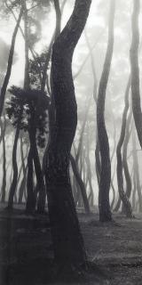 Bae Bien-U - SNAIA019