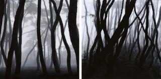 Bae Bien-U - Sonamu SNM3A-004 & Sonamu SNM3A-002