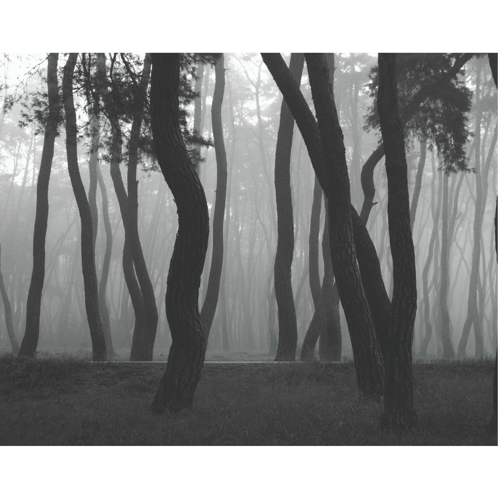 Bae Bien-U - Untitled