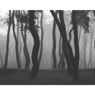 Bae Bien-U - Untitled