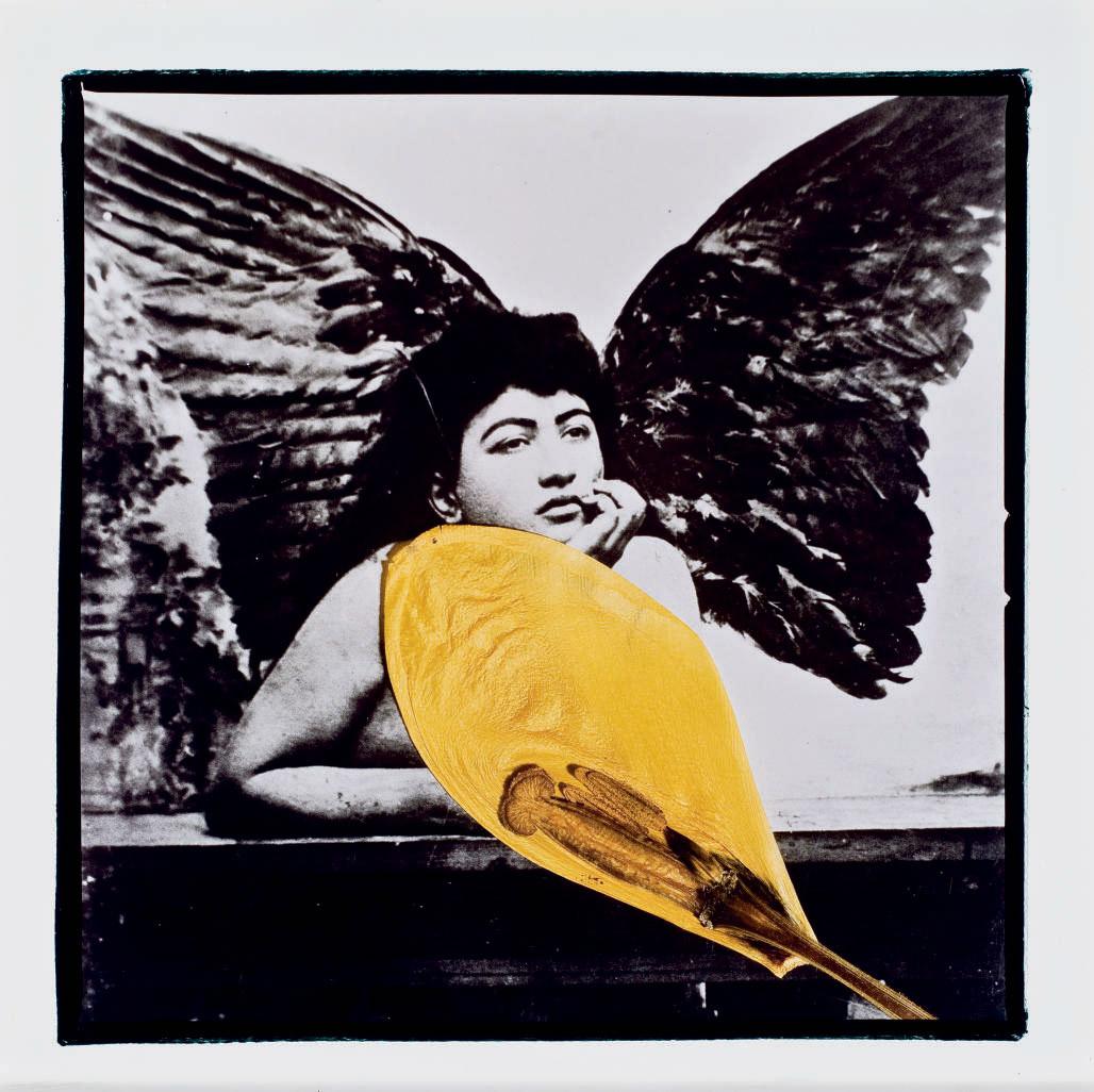 Bahman Jalali - Image of imagination 4