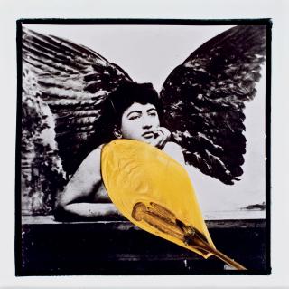 Bahman Jalali - Image of imagination 4