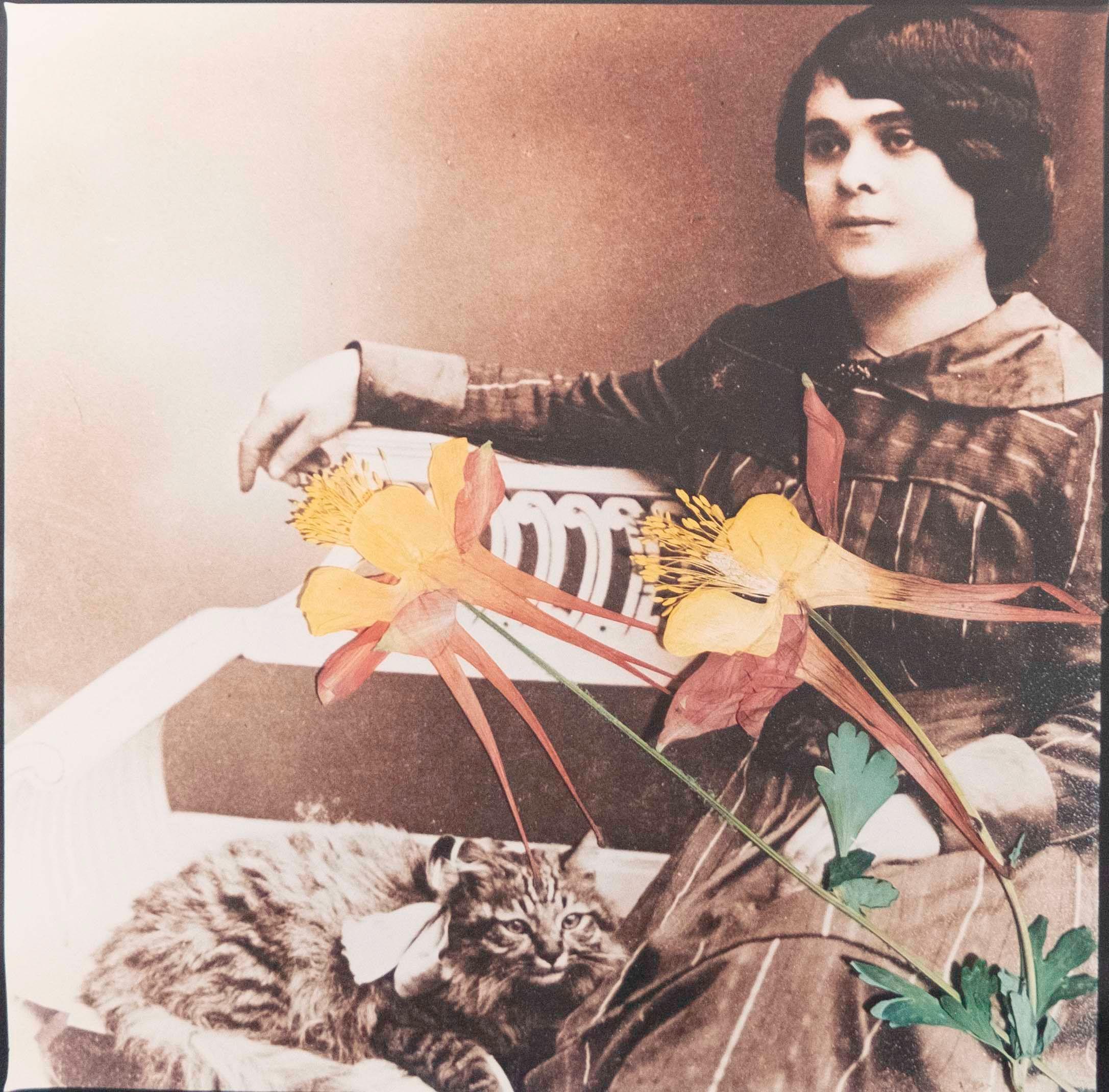 Bahman Jalali - Image of Imagination I