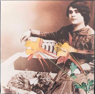 Bahman Jalali - Image of Imagination I