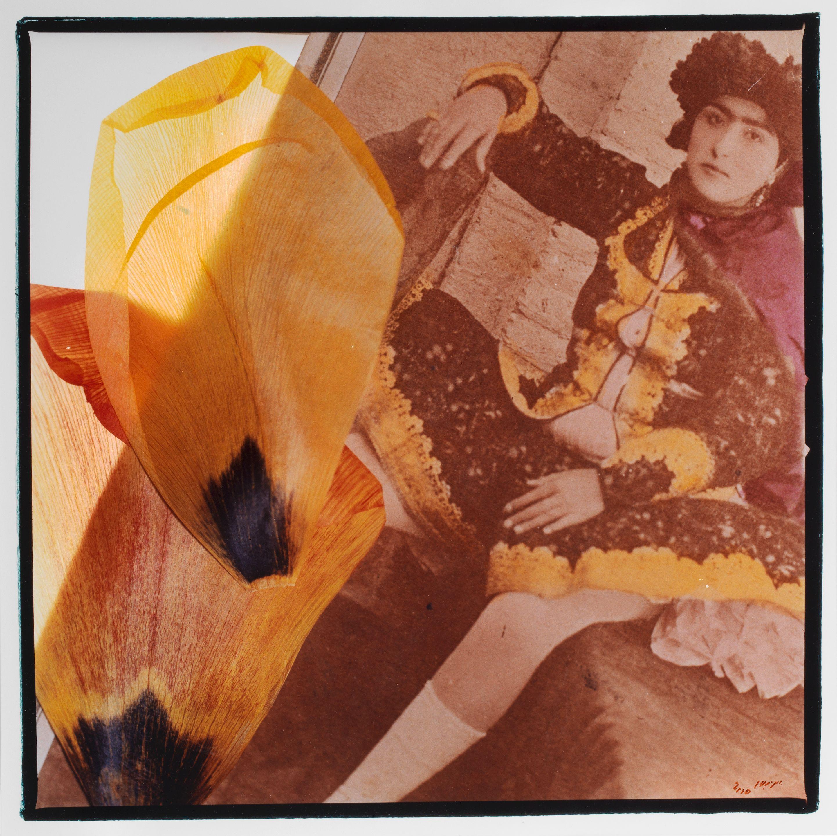 Bahman Jalali - Image Of Imagination Series II