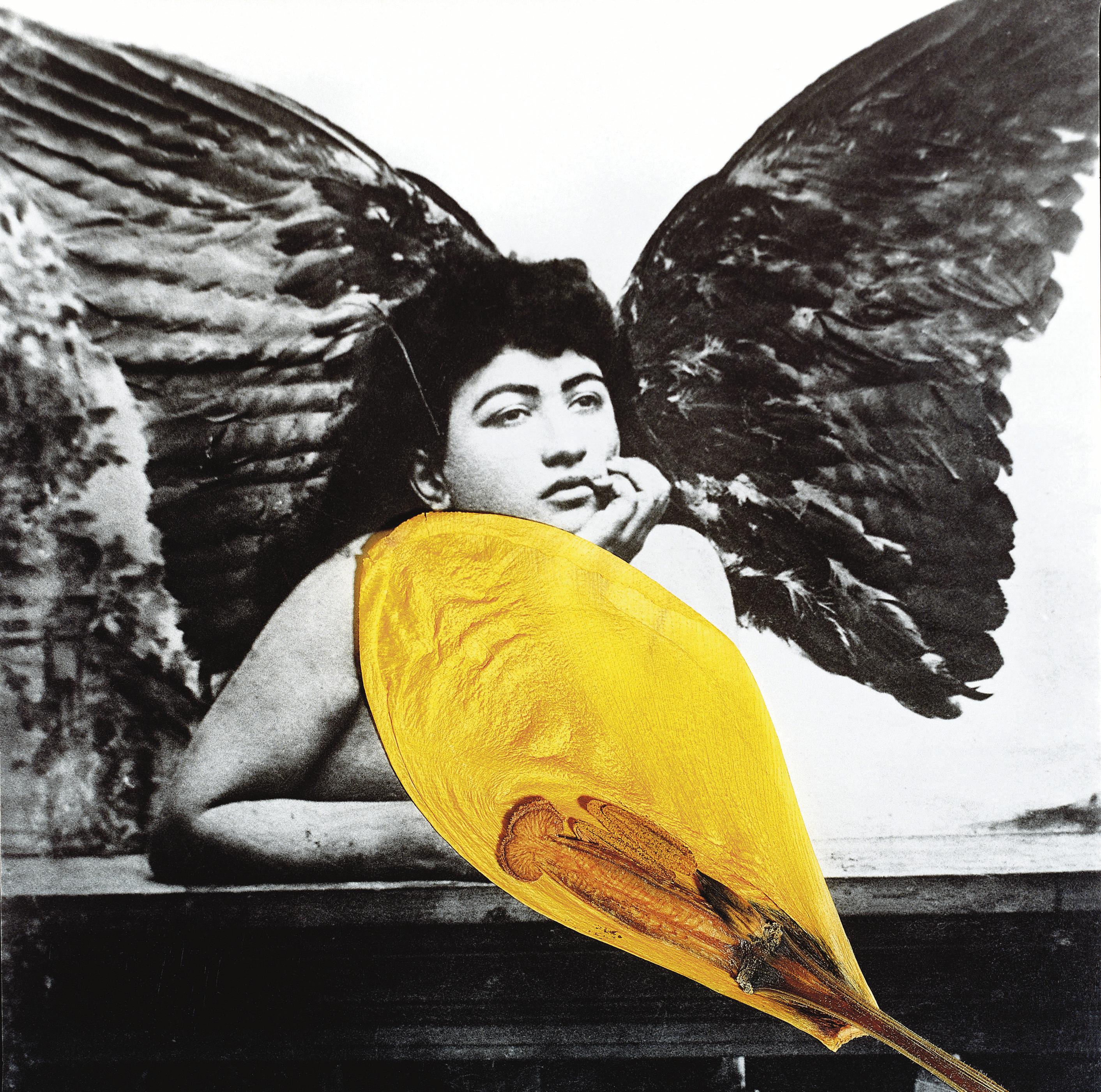 Bahman Jalali - Image On Imagination