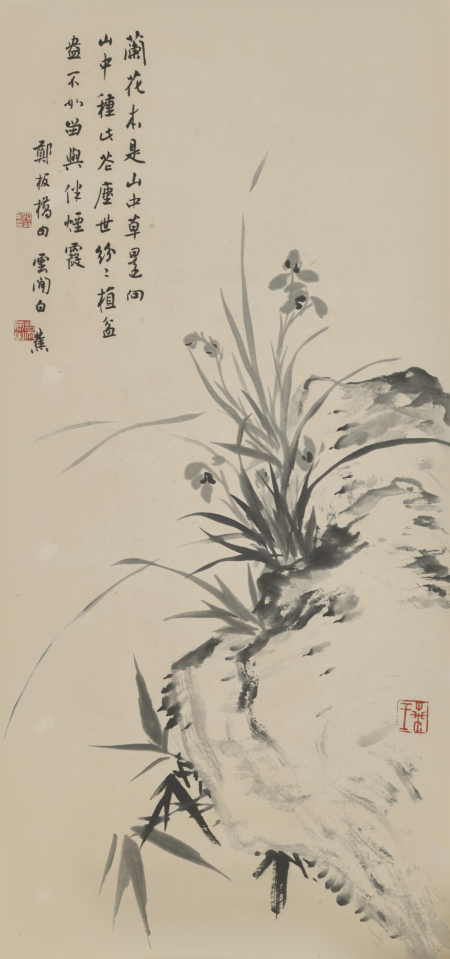 Bai Jiao - Orchid