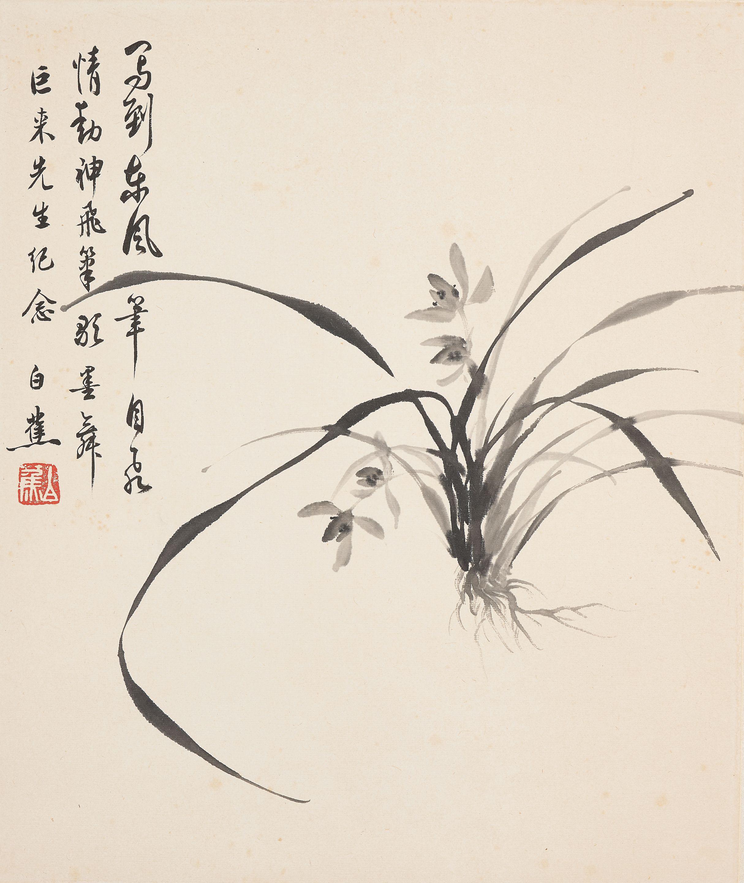 Bai Jiao - Orchid
